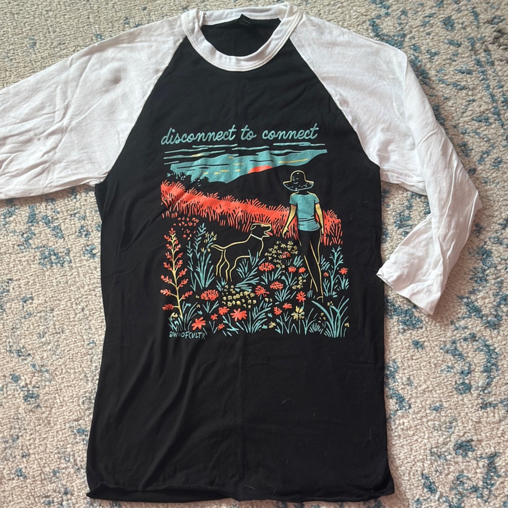 Disconnect to Connect 3/4 unisex  Raglan